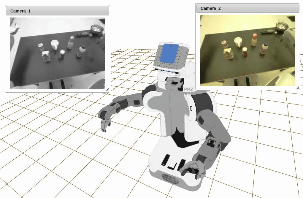Cameras and Robot Model in Wviz